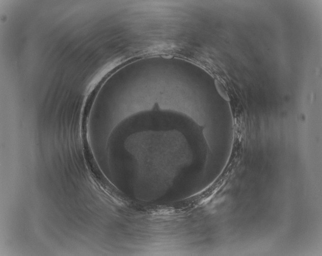 X0000072550196200607141301