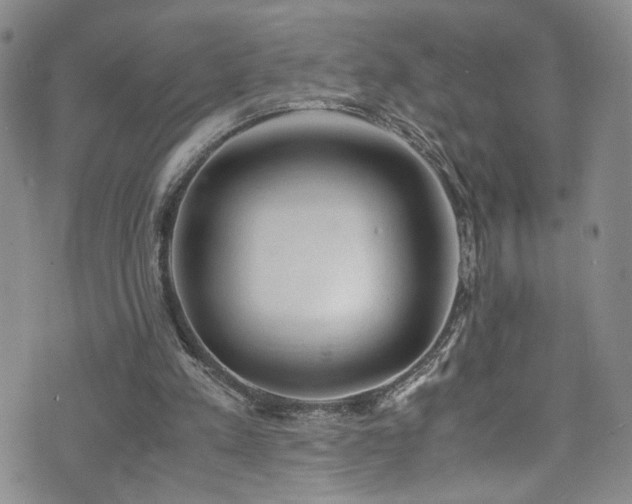 X0000072550197200607141301