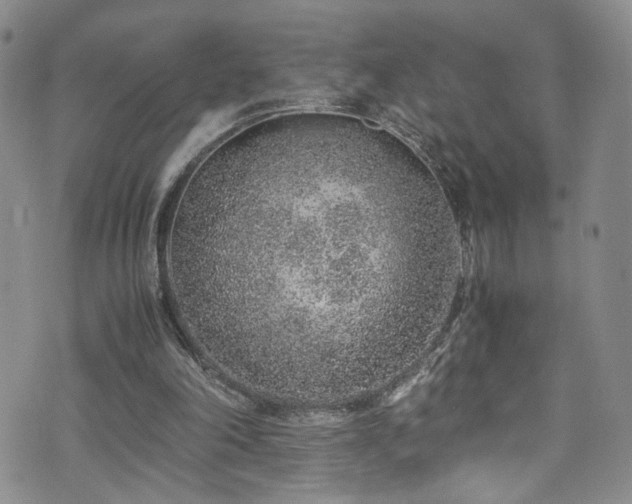 X0000072550198200607141301