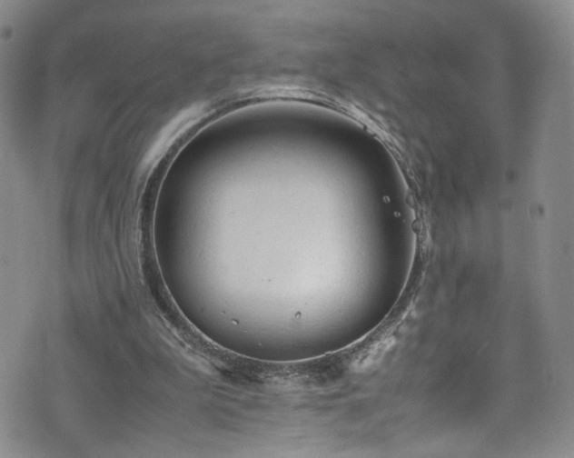 X0000072550199200607141301