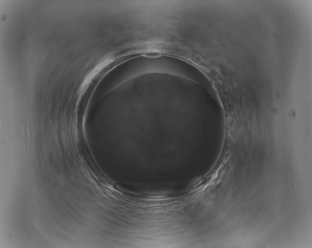 X0000072550200200607141301