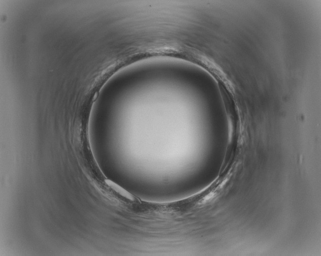 X0000072550201200607141301