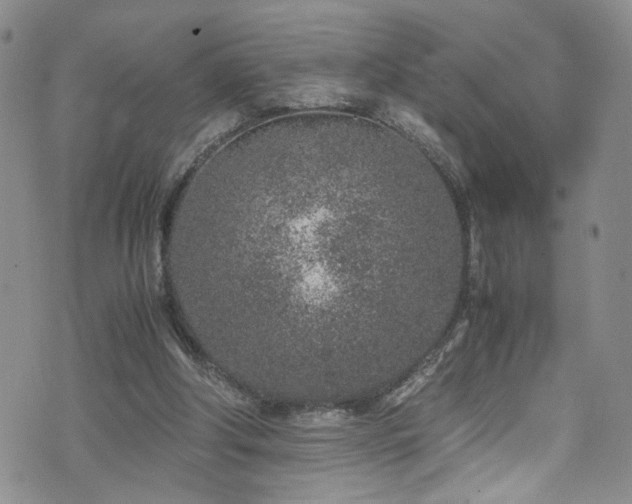 X0000072550202200607141301