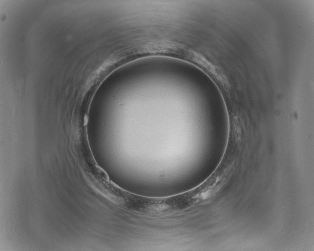 X0000072550203200607141301