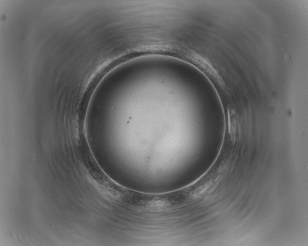 X0000072550204200607141301