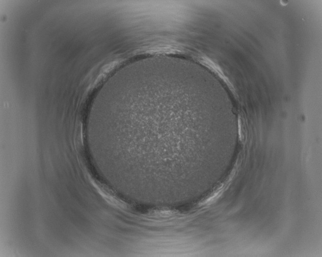 X0000072550205200607141301