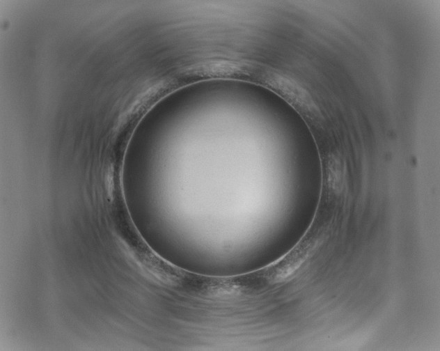 X0000072550206200607141301