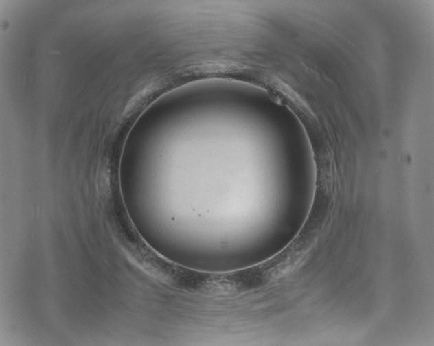 X0000072550207200607141301