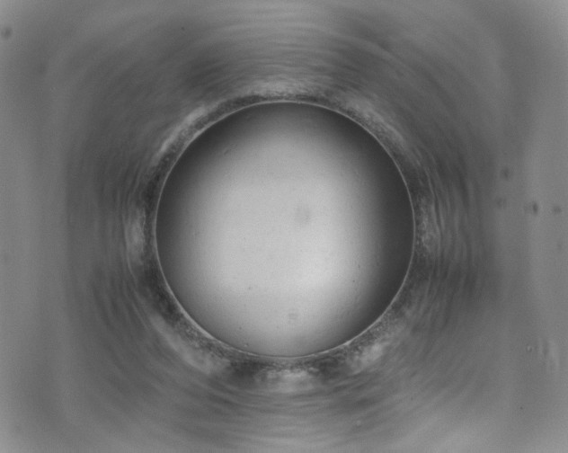 X0000072550208200607141301