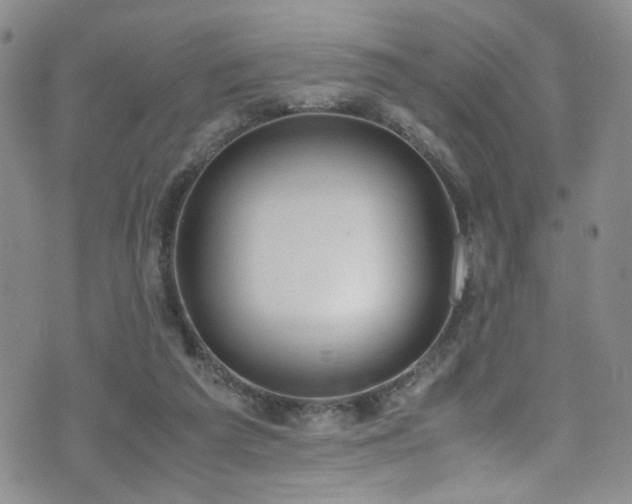 X0000072550209200607141301