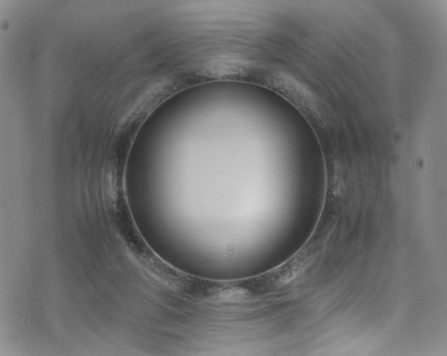 X0000072550210200607141301