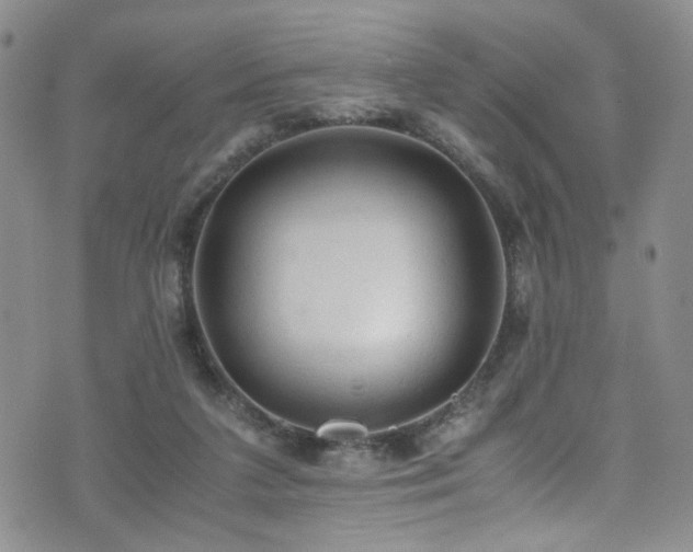 X0000072550211200607141301