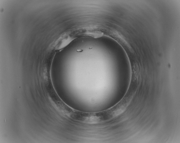 X0000072550212200607141301