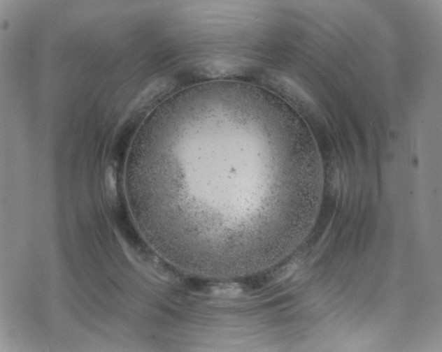 X0000072550214200607141301