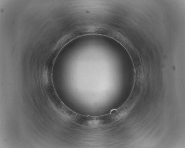 X0000072550216200607141301