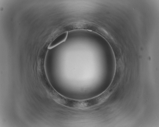 X0000072550217200607141301