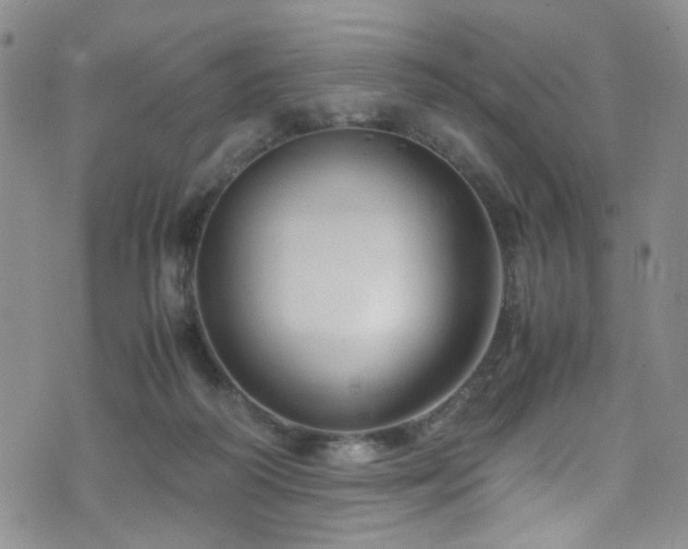 X0000072550218200607141301