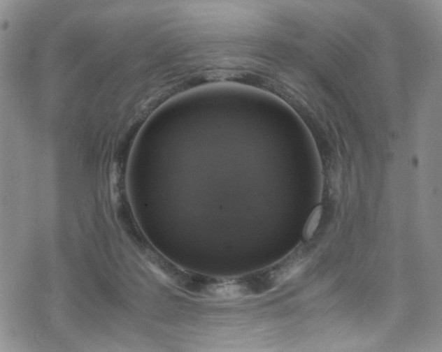 X0000072550219200607141301