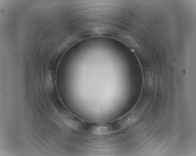 X0000072550220200607141300