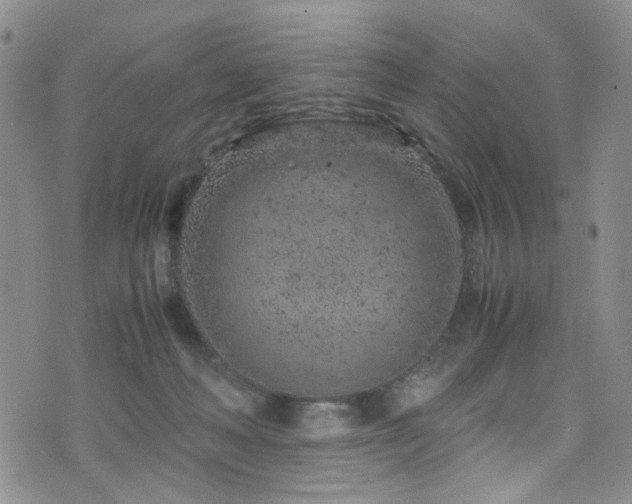 X0000072550222200607141300