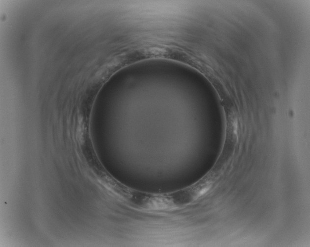 X0000072550223200607141300