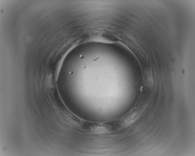 X0000072550224200607141300