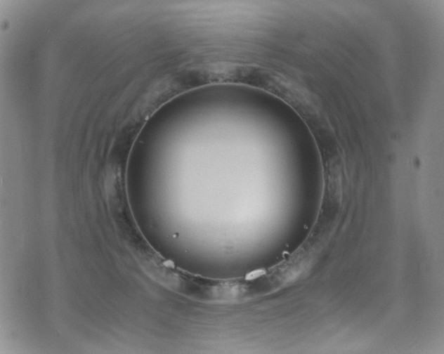 X0000072550225200607141300