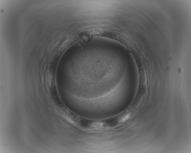 X0000072550227200607141300