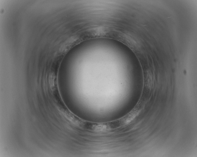 X0000072550230200607141300