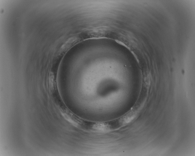 X0000072550231200607141300