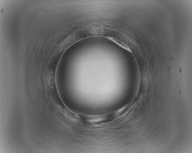 X0000072550233200607141300