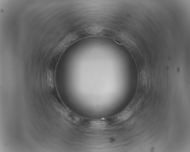 X0000072550234200607141300