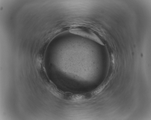 X0000072550235200607141300