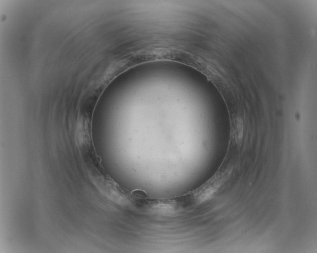 X0000072550236200607141300