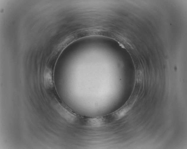 X0000072550238200607141300