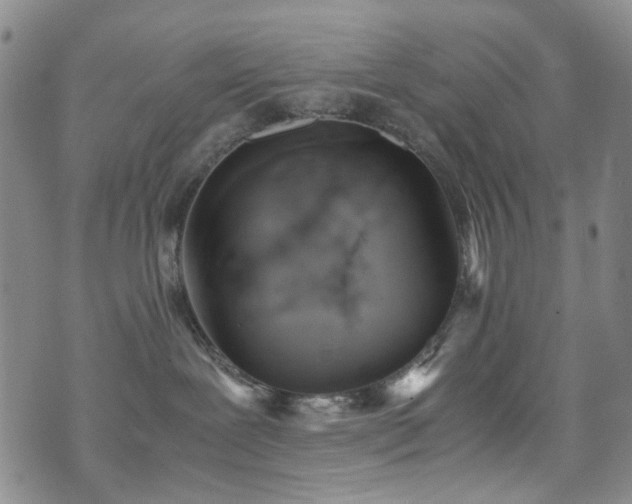 X0000072550239200607141300