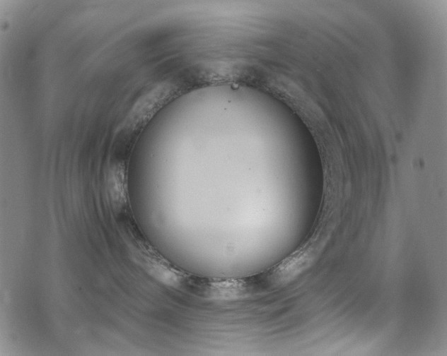 X0000072550240200607141300