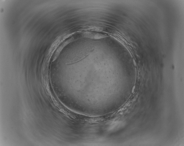 X0000072550241200607141259