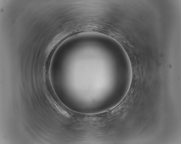 X0000072550242200607141259