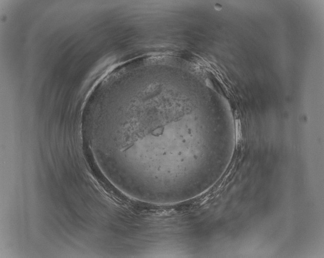 X0000072550243200607141259