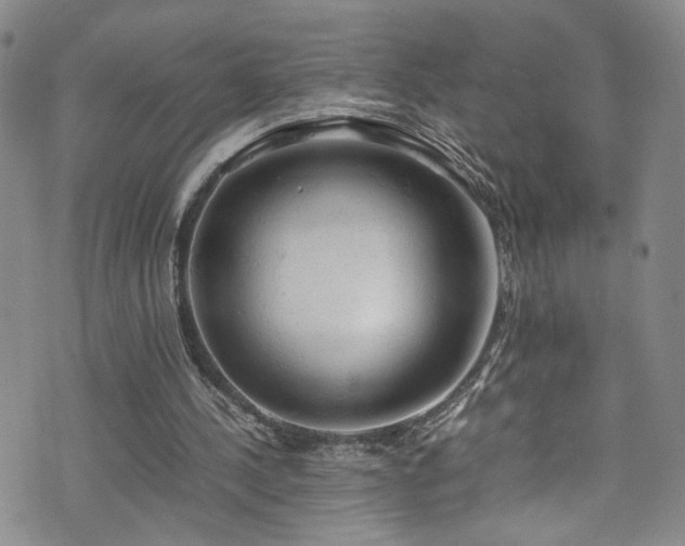 X0000072550244200607141259