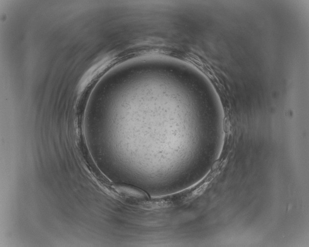 X0000072550245200607141259