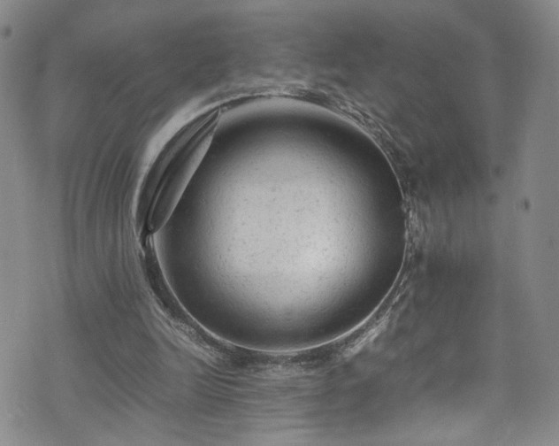 X0000072550246200607141259