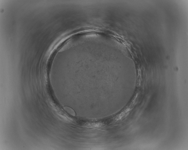 X0000072550247200607141259