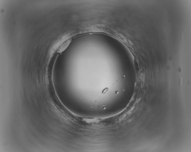 X0000072550248200607141300