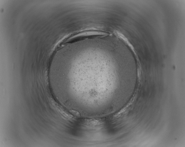 X0000072550249200607141300