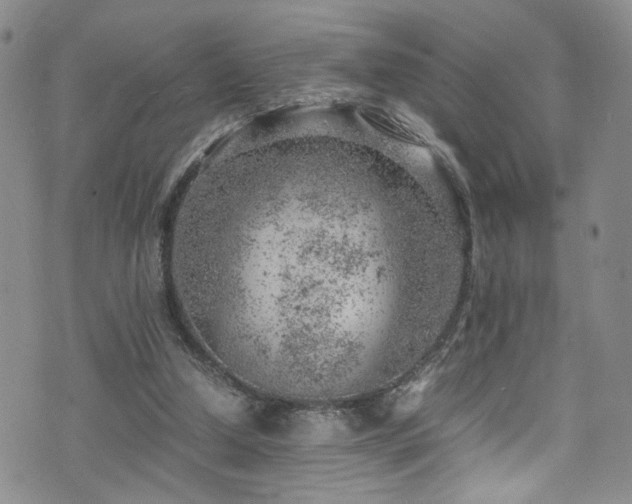 X0000072550250200607141300