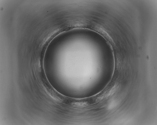 X0000072550251200607141300