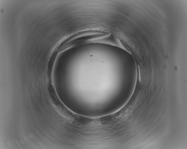 X0000072550252200607141300