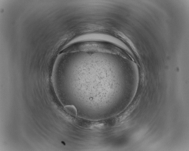 X0000072550257200607141300